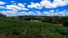 Foto 2 de Lote/Terreno à venda, 20000m² em Usina Três Bocas, Londrina