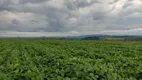 Foto 11 de Fazenda/Sítio com 3 Quartos à venda, 90m² em Zona Rural, Altinópolis