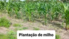 Foto 6 de Fazenda/Sítio à venda, 120000m² em Centro, Lagoa de Pedras