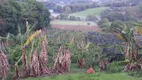 Foto 19 de Fazenda/Sítio com 3 Quartos à venda, 200m² em Sitio da Serra, Tuiuti