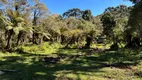 Foto 13 de Fazenda/Sítio à venda, 20000m² em , Urubici