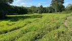 Foto 34 de Fazenda/Sítio à venda, 2m² em , Novo Planalto