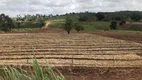 Foto 14 de Fazenda/Sítio com 2 Quartos à venda, 30000m² em Zona Rural, Glória do Goitá