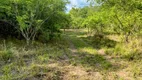 Foto 21 de Fazenda/Sítio com 2 Quartos à venda, 11m² em Zona Rural, Colinas do Sul