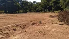 Foto 17 de Fazenda/Sítio com 4 Quartos à venda, 15000m² em Setor Marista Sul, Aparecida de Goiânia