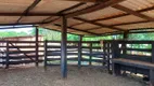 Foto 48 de Fazenda/Sítio com 3 Quartos à venda, 100000m² em Corrego Rico, Planaltina