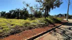 Foto 2 de Lote/Terreno à venda, 1000m² em , Igarapé