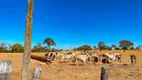 Foto 10 de Fazenda/Sítio com 8 Quartos à venda, 500000m² em Zona Rural, Luziânia