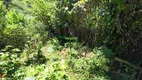 Foto 16 de Fazenda/Sítio com 3 Quartos à venda, 64000m² em Centro, Cunha