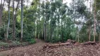 Foto 15 de Lote/Terreno à venda, 15000m² em Vila Germania, Nova Petrópolis