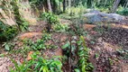 Foto 17 de Lote/Terreno à venda, 1000m² em Trancoso, Porto Seguro