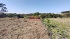 Foto 70 de Fazenda/Sítio com 3 Quartos à venda, 36800m² em Mirim, Indaiatuba