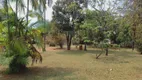 Foto 16 de Fazenda/Sítio com 3 Quartos à venda, 183m² em Chácaras Eldorado, Uberlândia
