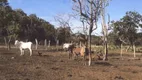 Foto 30 de Fazenda/Sítio com 2 Quartos à venda, 9680000m² em Zona Rural, Cavalcante