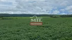 Foto 6 de Fazenda/Sítio à venda em Zona Rural, Montes Claros de Goiás