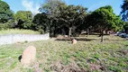 Foto 7 de Lote/Terreno para alugar, 1113m² em Centro, Ibirite