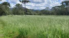 Foto 10 de Fazenda/Sítio com 3 Quartos à venda, 86m² em Estrada do Invernador, Urubici