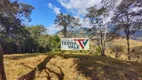 Foto 21 de Lote/Terreno à venda, 20000m² em , Gonçalves