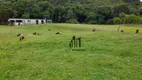 Foto 39 de Fazenda/Sítio com 2 Quartos à venda, 100m² em Centro, Mandirituba