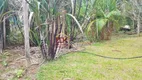 Foto 21 de Fazenda/Sítio com 3 Quartos à venda, 2000m² em Zona Rural, Monteiro Lobato