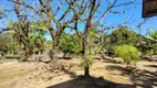 Foto 10 de Fazenda/Sítio com 4 Quartos à venda, 250m² em Gandé, Magé