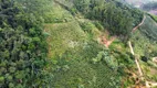 Foto 9 de Fazenda/Sítio com 4 Quartos à venda, 35000m² em Matilde, Alfredo Chaves