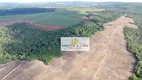 Foto 8 de Fazenda/Sítio com 4 Quartos à venda, 708m² em , Paraíso do Tocantins