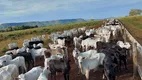 Foto 13 de Fazenda/Sítio à venda em Zona Rural, Paraíso do Tocantins