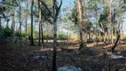 Foto 4 de Lote/Terreno à venda, 800m² em , Itamaraju