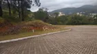 Foto 6 de Lote/Terreno à venda, 473m² em Itacorubi, Florianópolis