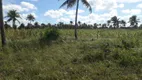 Foto 9 de Fazenda/Sítio à venda em Centro, São José de Mipibu