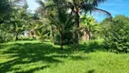 Foto 58 de Fazenda/Sítio com 3 Quartos à venda, 300m² em Manoel Ribeiro, Maricá