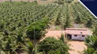 Foto 2 de Lote/Terreno à venda, 250000m² em Sao Miguel do Gostoso, Touros