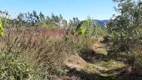 Foto 3 de Fazenda/Sítio com 2 Quartos à venda, 1m² em Sao Pedro da Serra, Nova Friburgo