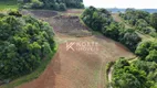 Foto 2 de Lote/Terreno à venda, 40000m² em Barra do Trombudo, Rio do Sul