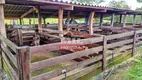 Foto 7 de Fazenda/Sítio à venda, 194m² em Setor Central, Rianápolis