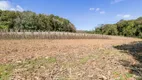 Foto 2 de Fazenda/Sítio com 1 Quarto à venda, 56643m² em Ferraria, Campo Largo