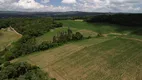 Foto 5 de Fazenda/Sítio à venda, 20000m² em Centro, Campo Alegre