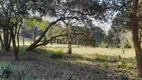 Foto 6 de Lote/Terreno à venda, 1914m² em Maracanã, Jarinu