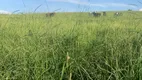 Foto 12 de Fazenda/Sítio à venda, 240000m² em Centro, Marília