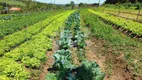 Foto 25 de Fazenda/Sítio com 2 Quartos à venda, 90m² em Boa Vista, Limeira