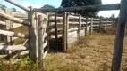 Foto 11 de Fazenda/Sítio à venda, 1640000m² em Zona Rural, Arinos