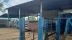 Foto 12 de Fazenda/Sítio com 3 Quartos à venda, 80000m² em Centro, Esmeraldas