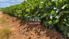 Foto 13 de Fazenda/Sítio à venda em Zona Rural, Água Fria de Goiás