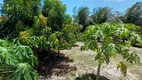 Foto 19 de Fazenda/Sítio com 3 Quartos à venda, 1800m² em Patacas, Aquiraz