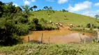 Foto 17 de Fazenda/Sítio à venda, 900000m² em Zona Rural, Caeté