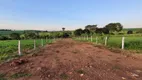 Foto 19 de Lote/Terreno à venda, 2000m² em Setor Central, Itauçu