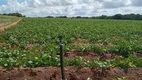 Foto 3 de Fazenda/Sítio com 3 Quartos à venda, 44000m² em Zona Rural, Touros