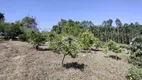 Foto 24 de Fazenda/Sítio com 5 Quartos à venda, 34000m² em , Portão