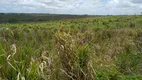 Foto 18 de Fazenda/Sítio à venda, 11500m² em , Monte Alegre